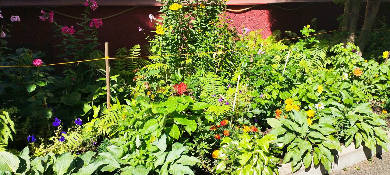 Гостиница Домик у причала Ломоносов-88