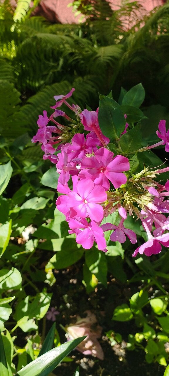 Гостиница Домик у причала Ломоносов-213