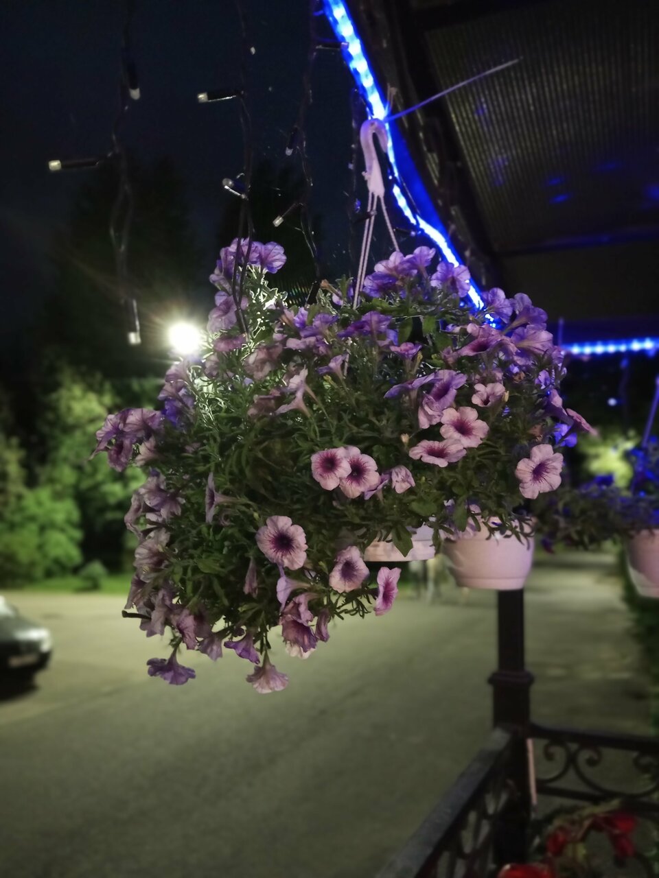 Гостиница Домик у причала Ломоносов-137