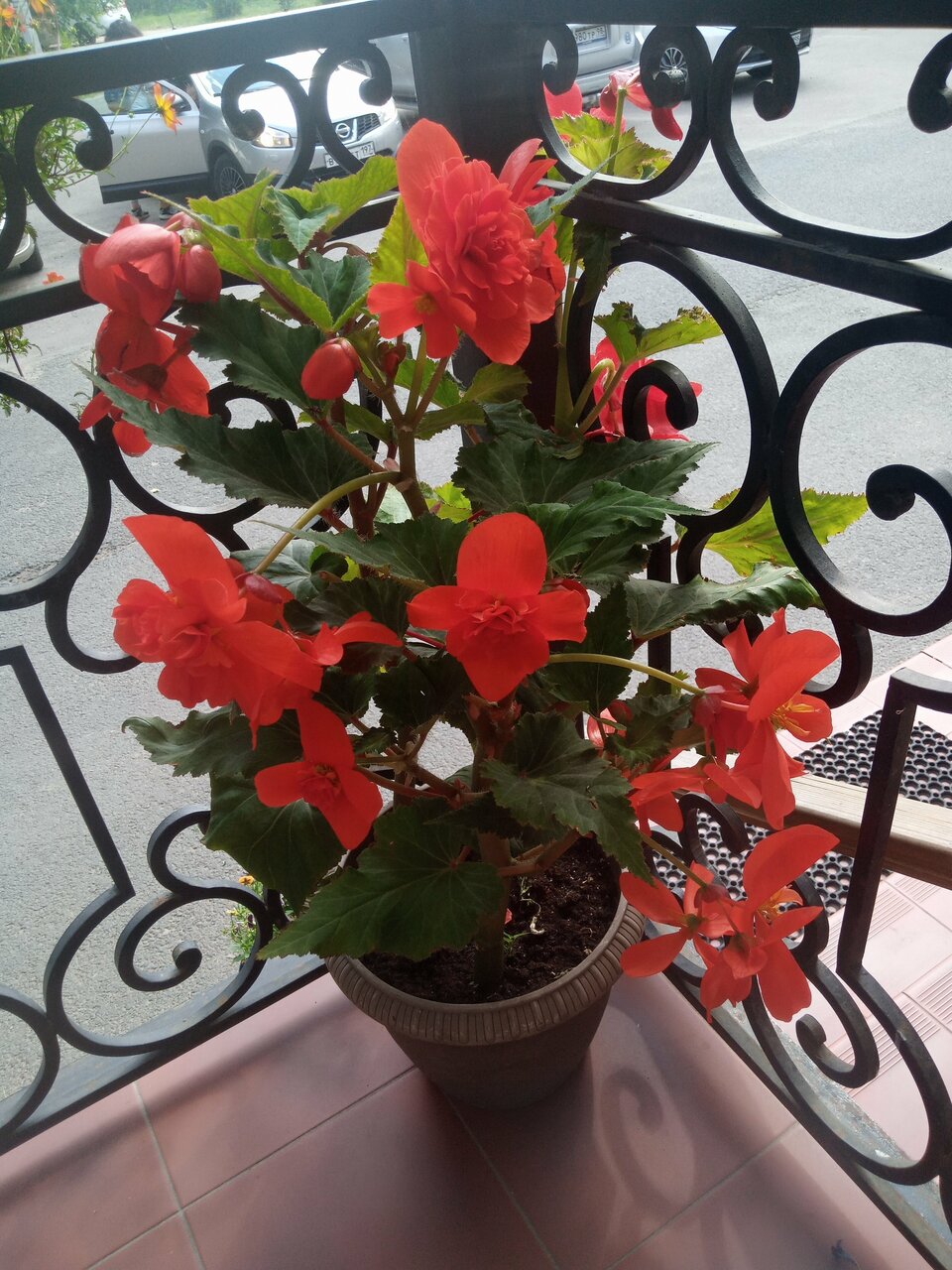 Гостиница Домик у причала Ломоносов-134