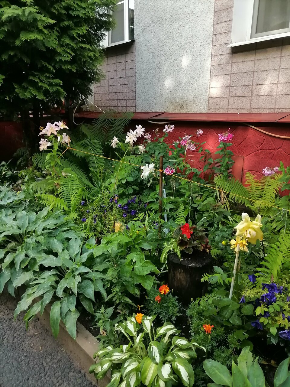 Гостиница Домик у причала Ломоносов-228