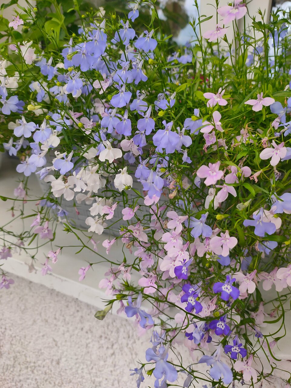 Гостиница Домик у причала Ломоносов-93