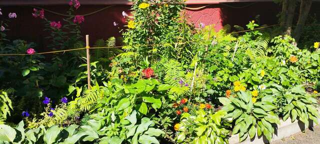 Гостиница Домик у причала Ломоносов-87