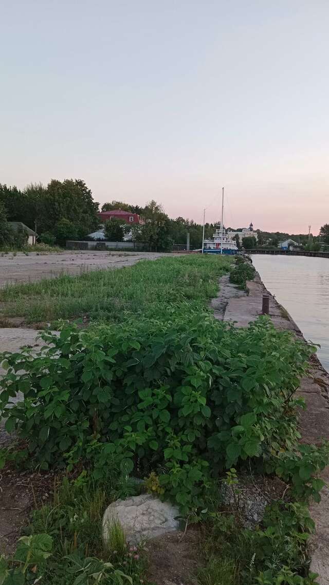 Гостиница Домик у причала Ломоносов-219