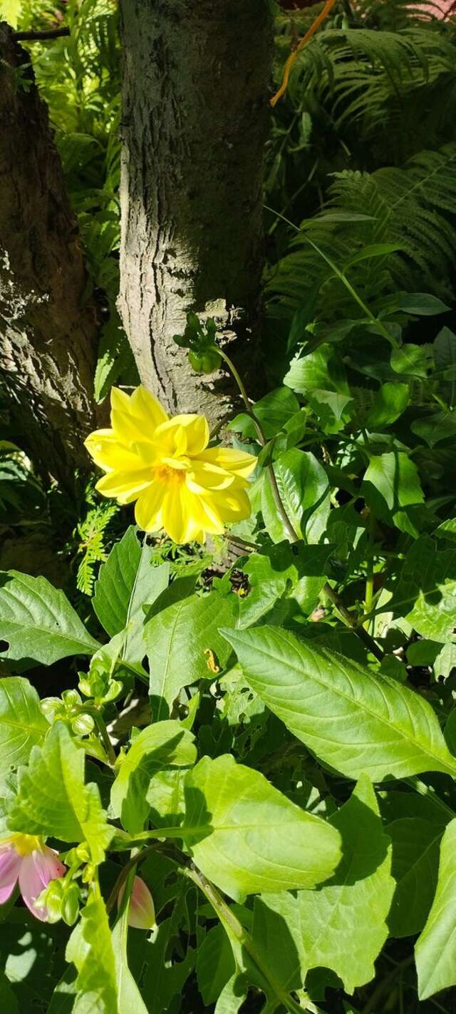 Гостиница Домик у причала Ломоносов-175