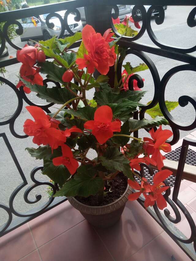 Гостиница Домик у причала Ломоносов-133