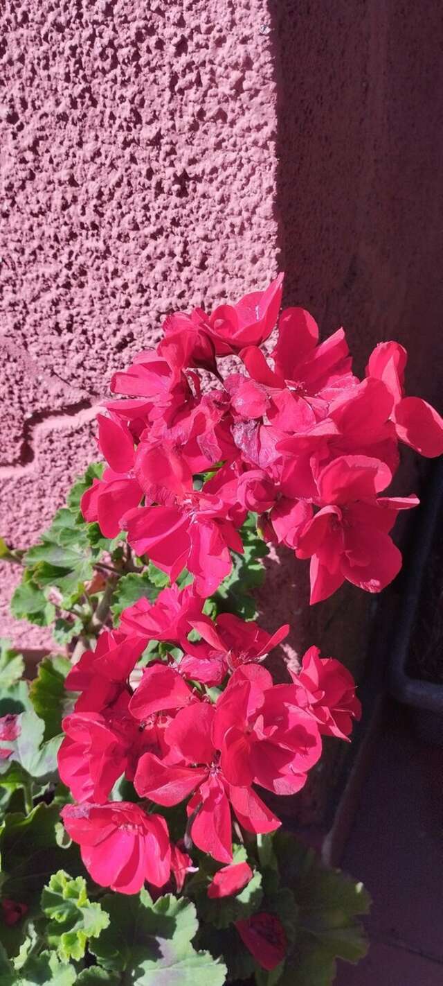 Гостиница Домик у причала Ломоносов-154